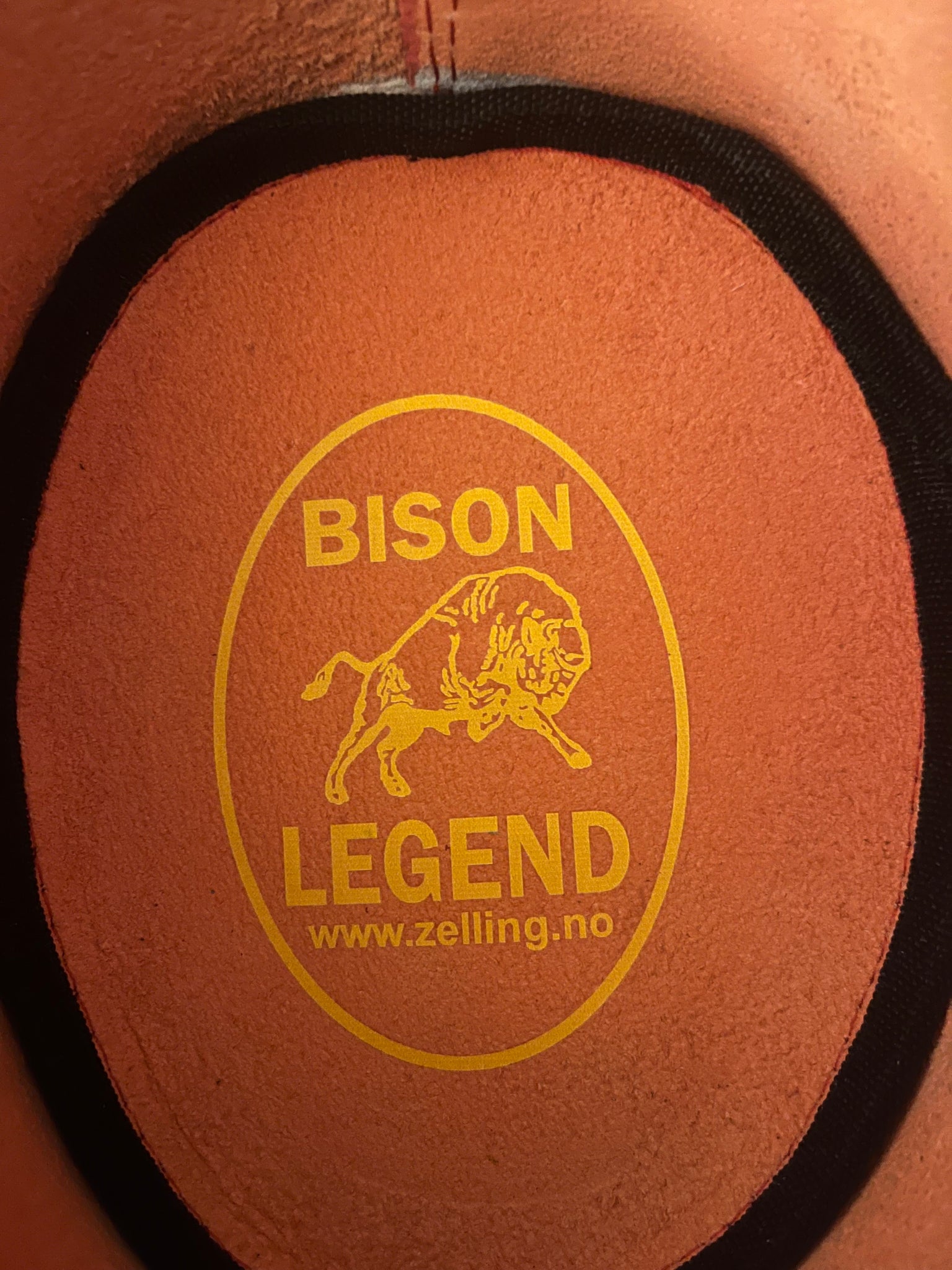 Bison Legend